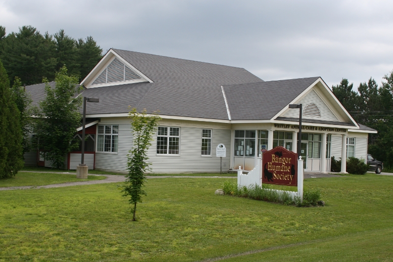 Bangor Humane Society Building