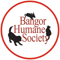 Humane society in bangor maine 2007 isx cummins