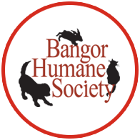 Bangor Humane Society Logo